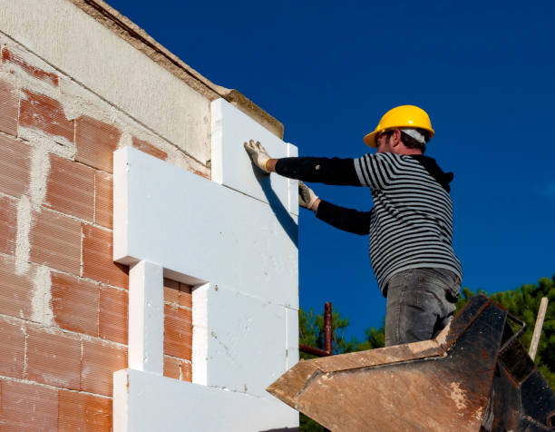Best Spray Foam Insulation in Las Lomas, TX