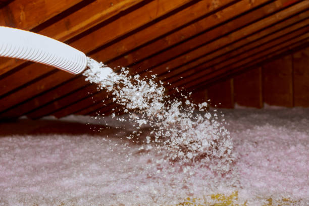 Best DIY Insulation Kits and Guidance in Las Lomas, TX