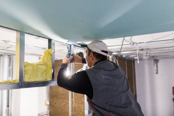 Las Lomas, TX Insulation Contractor Company