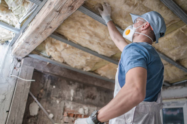 Best Blown-in Insulation in Las Lomas, TX