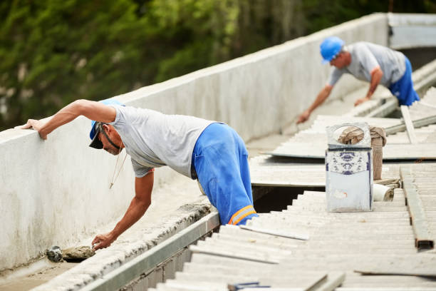 Best Spray Foam Insulation in Las Lomas, TX