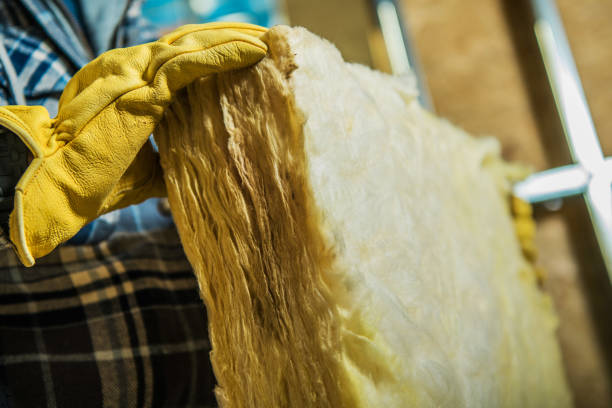 Best Insulation for Specific Applications in Las Lomas, TX