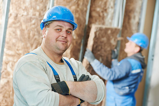 Best Geographic-Specific Insulation Services in Las Lomas, TX